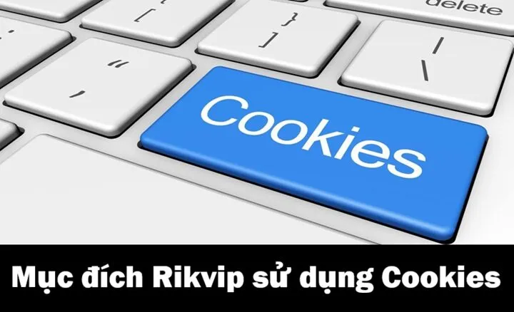 Cookies 1 Mục đích sử dụng Cookies của Rikvip