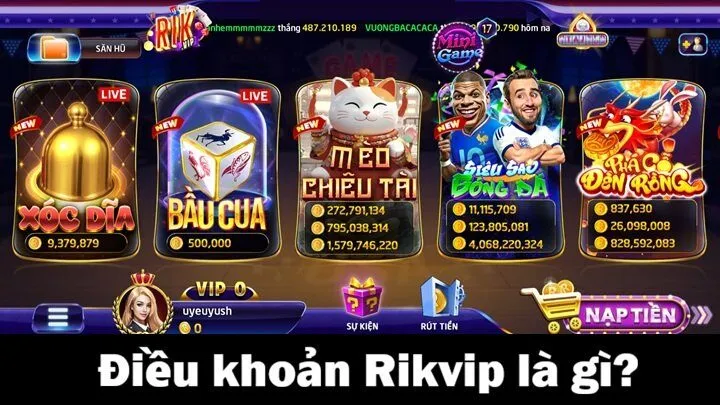 Điều khoản 1 Điều khoản Rikvip là gì?