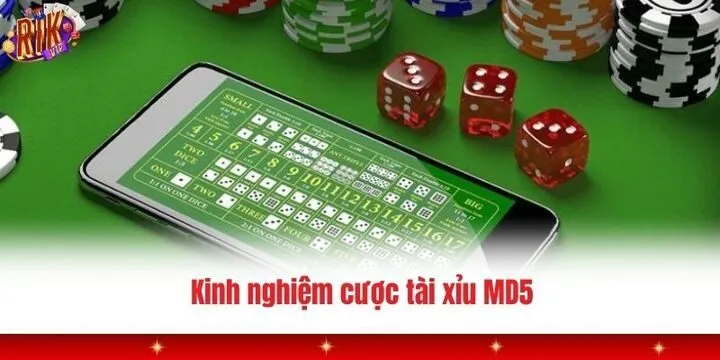 Tài xỉu MD5 Rikvip - Săn phần thưởng đầy hấp dẫn năm 2026 4 Một số chiến thuật tham gia tài xỉu MD5 Rikvip dễ dàng