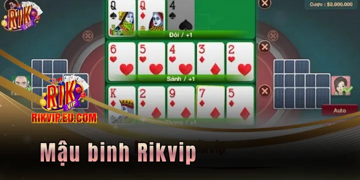 mau binh rikvip 2026